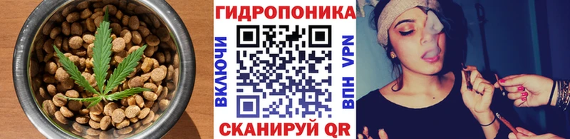 omg рабочий сайт  Верхний Тагил  Cannafood конопля 